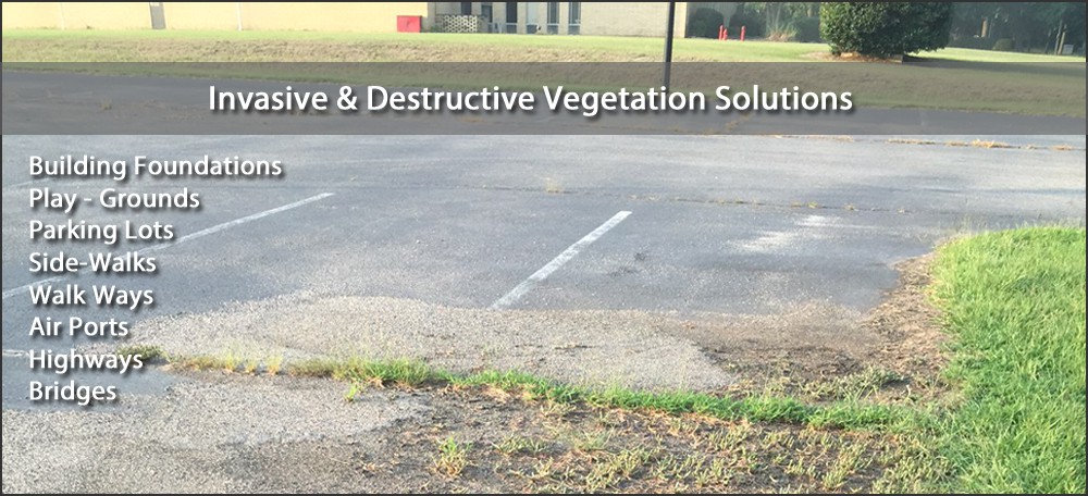 Veg-destruction-prevention